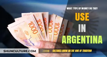 Exploring Argentina's Currency: A Guide to the Argentine Peso