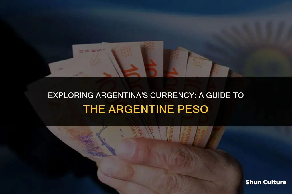 what type of money do they use in argentina