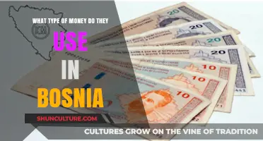 Bosnia's Currency: Understanding the Mark and Its Use in Daily Life