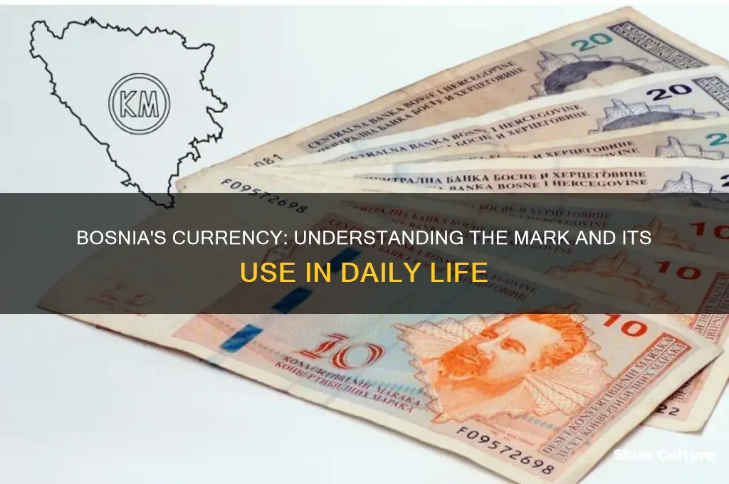 what type of money do they use in bosnia