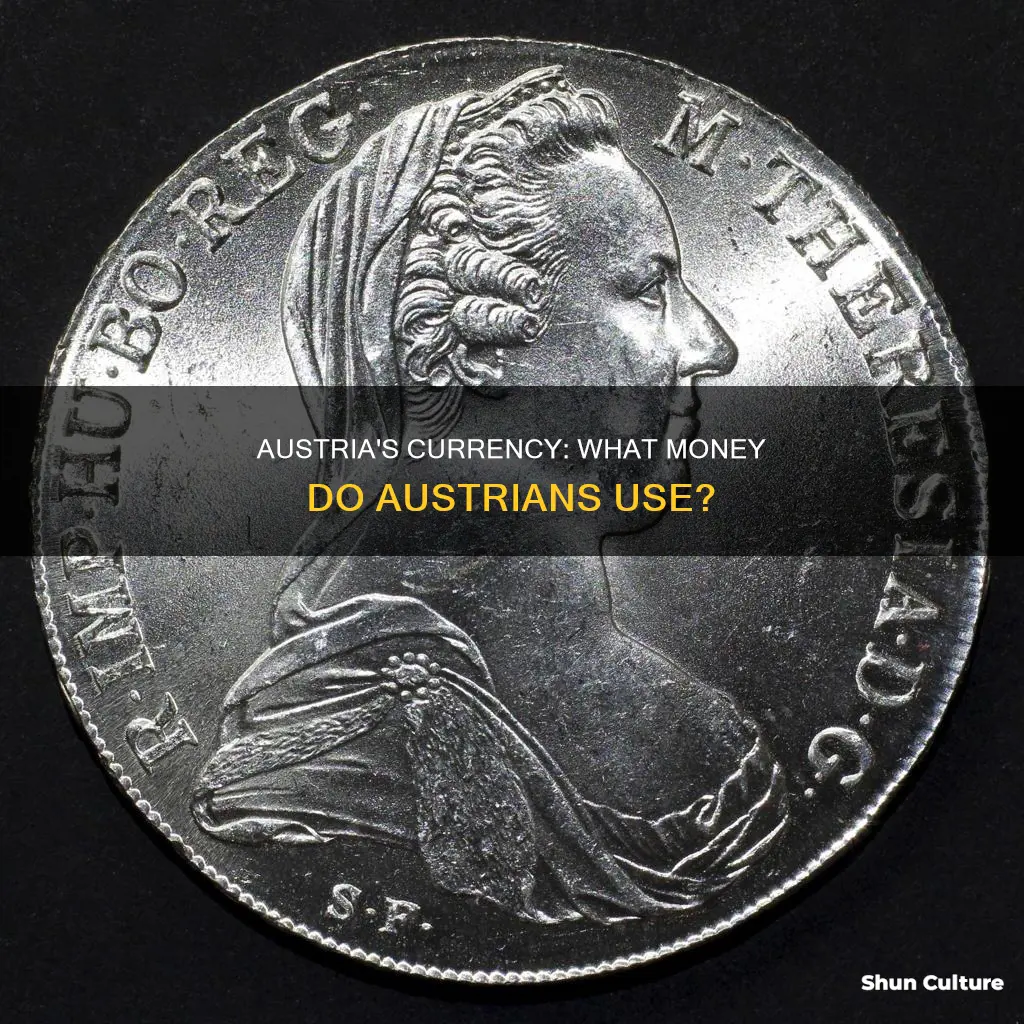 what type of money is used in austria
