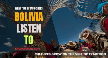 Exploring Bolivia's Music Scene and Local Preferences