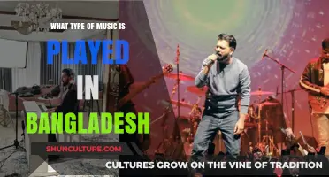 Exploring Bangladesh's Musical Diversity: Traditional, Folk, and Modern Genres