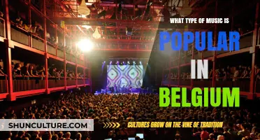 Exploring Belgium's Vibrant Music Scene: From Classical to Contemporary Beats