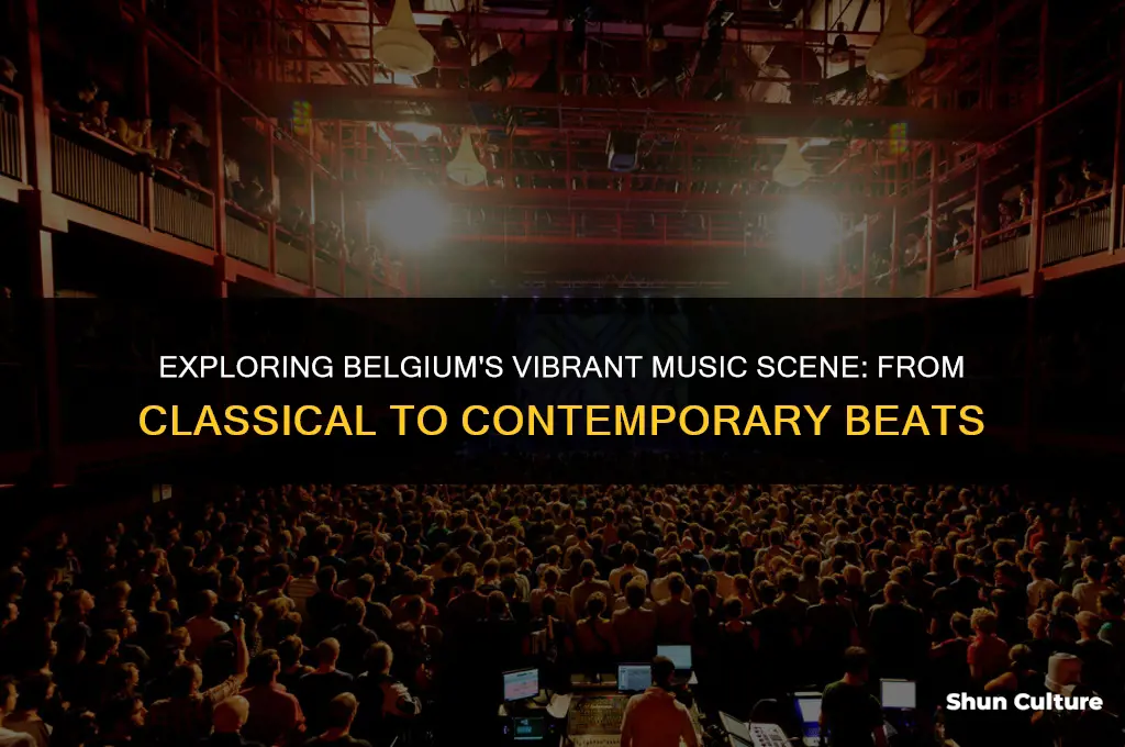 what type of music is popular in belgium