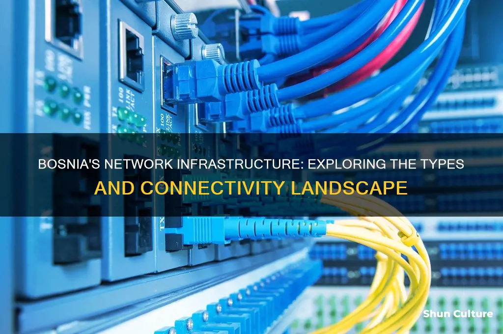 what type of network does bosnia hace