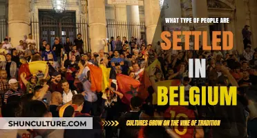 Diverse Communities: A Glimpse into Belgium's Multicultural Population