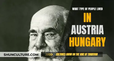 Exploring the Diversity: Who Lived in Austria-Hungary?