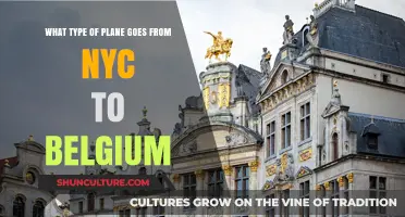 Flying from NYC to Belgium: Which Airlines and Aircraft Make the Trip?