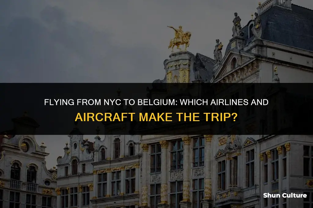 what type of plane goes from nyc to belgium