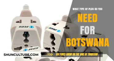 Traveling to Botswana? Here’s the Essential Plug Type You’ll Need