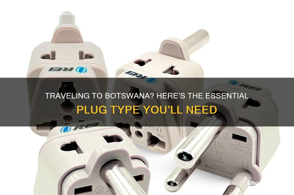 what type of plug do you need for botswana