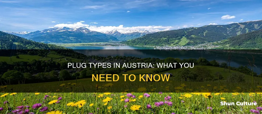 what type of plug is used in austria