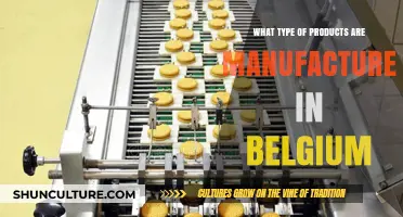 Exploring Belgium's Manufacturing: A Diverse Range of Products