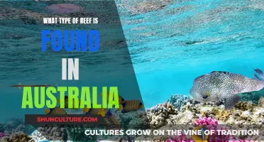 Australia's Unique Reef Systems: A Natural Wonder