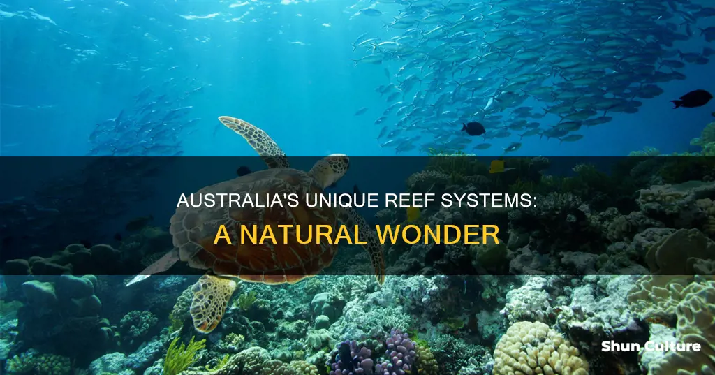 what type of reef is found in australia