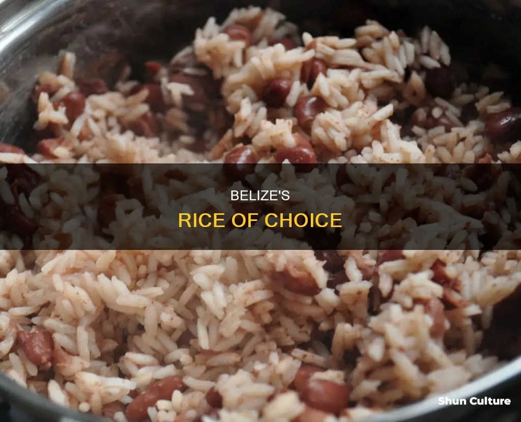 what type of rice do they eat in belize