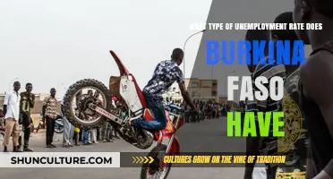 Exploring Burkina Faso's Unemployment Rate: A Comprehensive Analysis