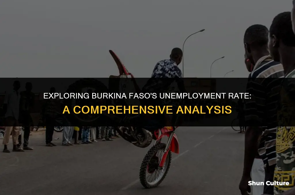 what type of unemployment rate does burkina faso have