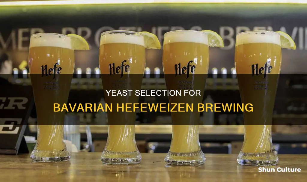 what type of yeast with bavarian hefeweizen