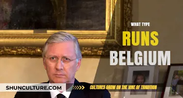 Exploring Belgium's Political Landscape: A Look at Its Monarchy and Democracy
