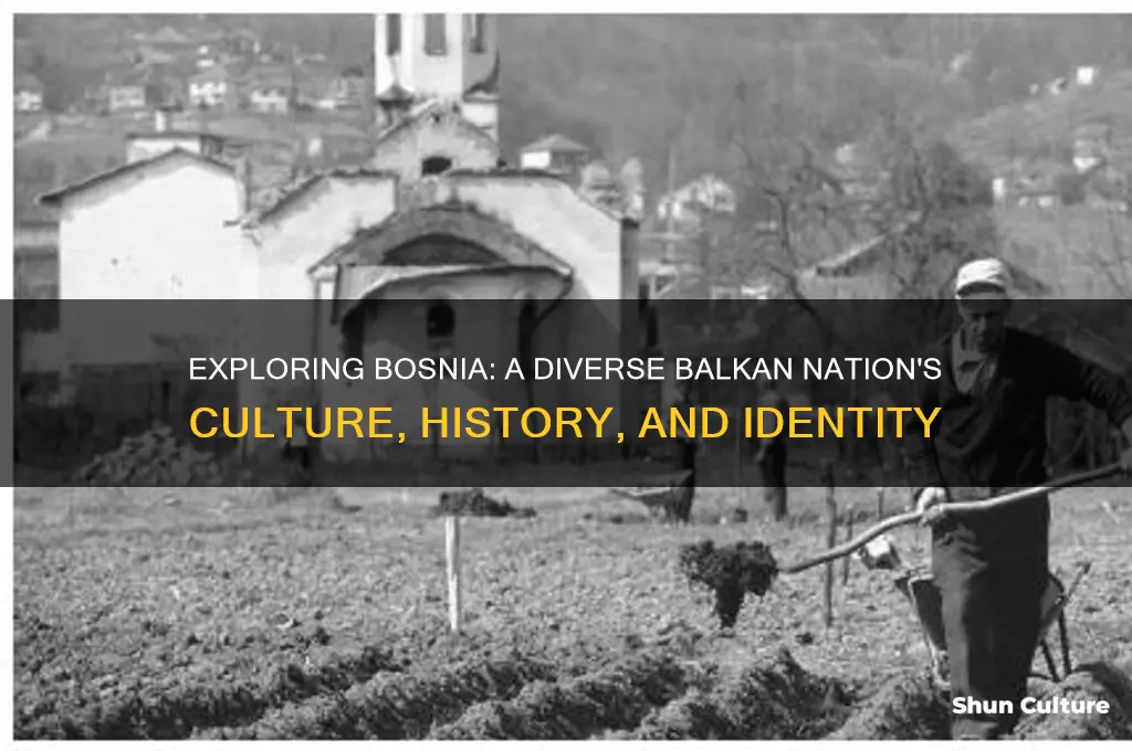 what types of country is bosnia
