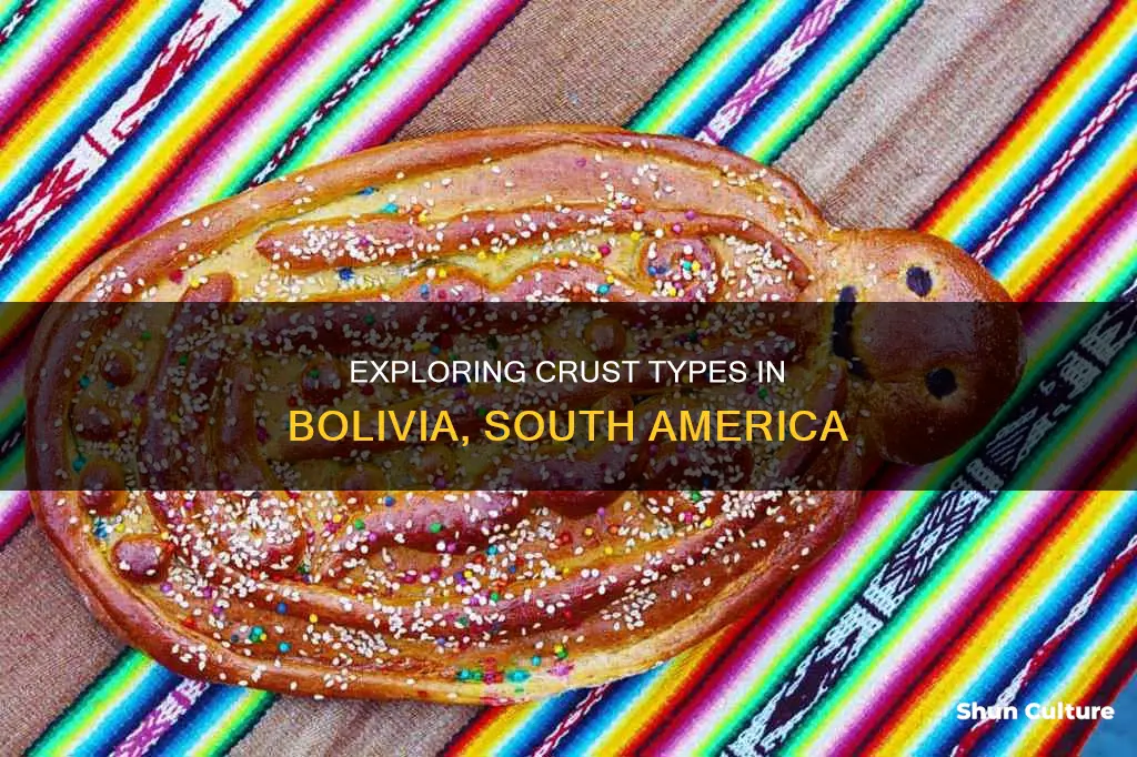 what types of crust are in bolivia south america