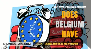 Economic Challenges in Belgium: A Comprehensive Overview