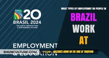 Exploring Brazil's Diverse Workforce: Industries and Employment Types