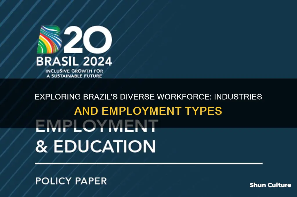 what types of employemnt do people in brazil work at
