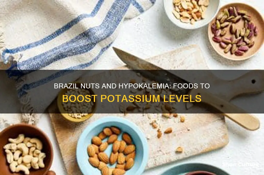 what types of food for hypokalemia brazil nuts