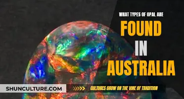 Opal Varieties in Australia: A Guide to Their Diversity