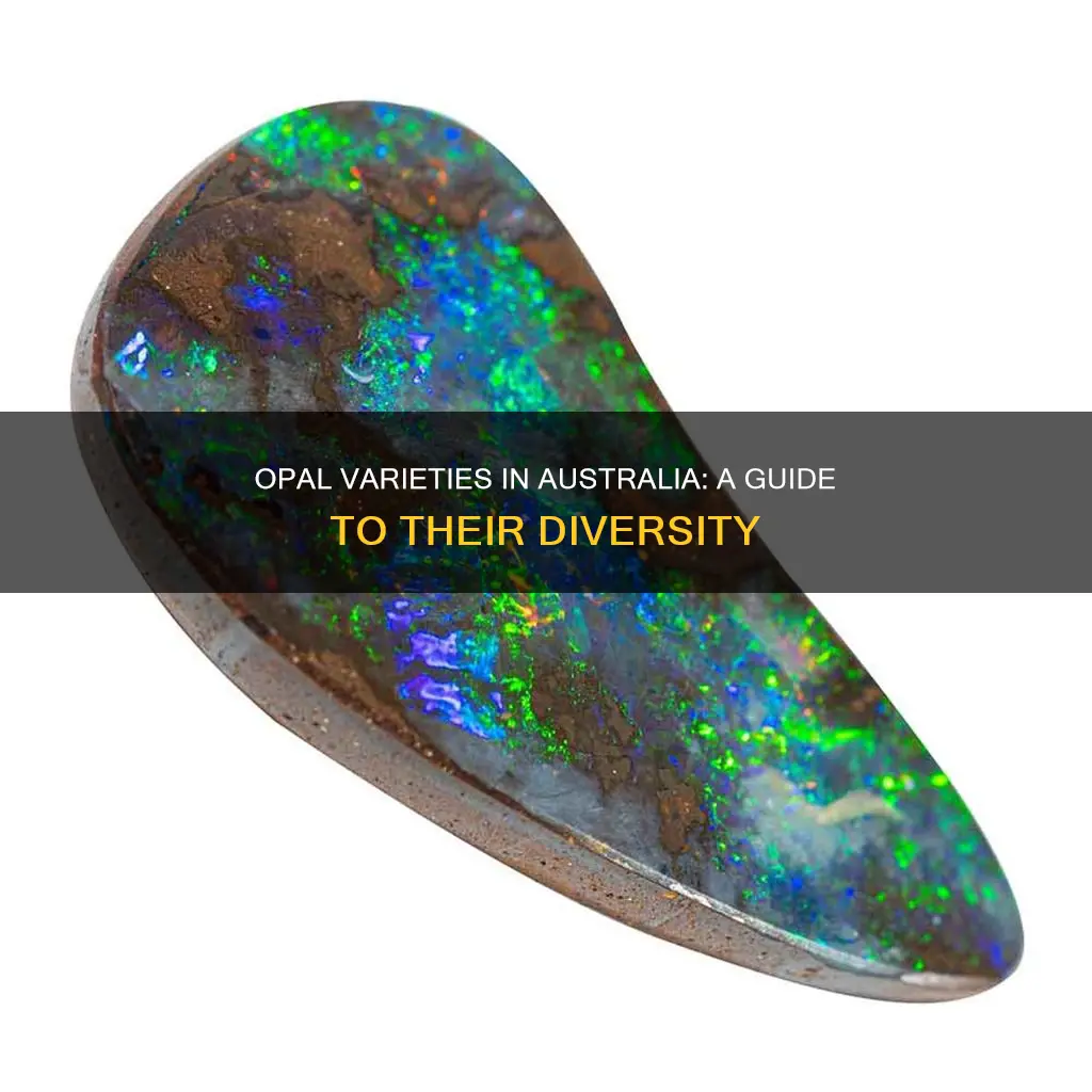 what types of opal are found in australia