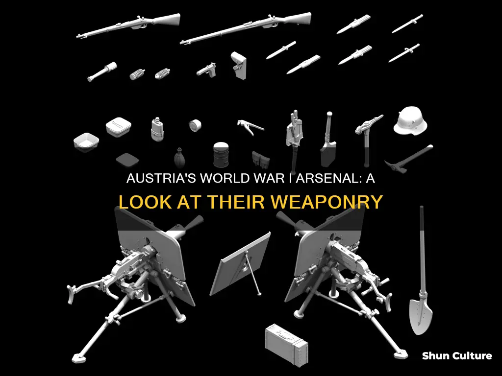 what types of weapons did austria use in ww1