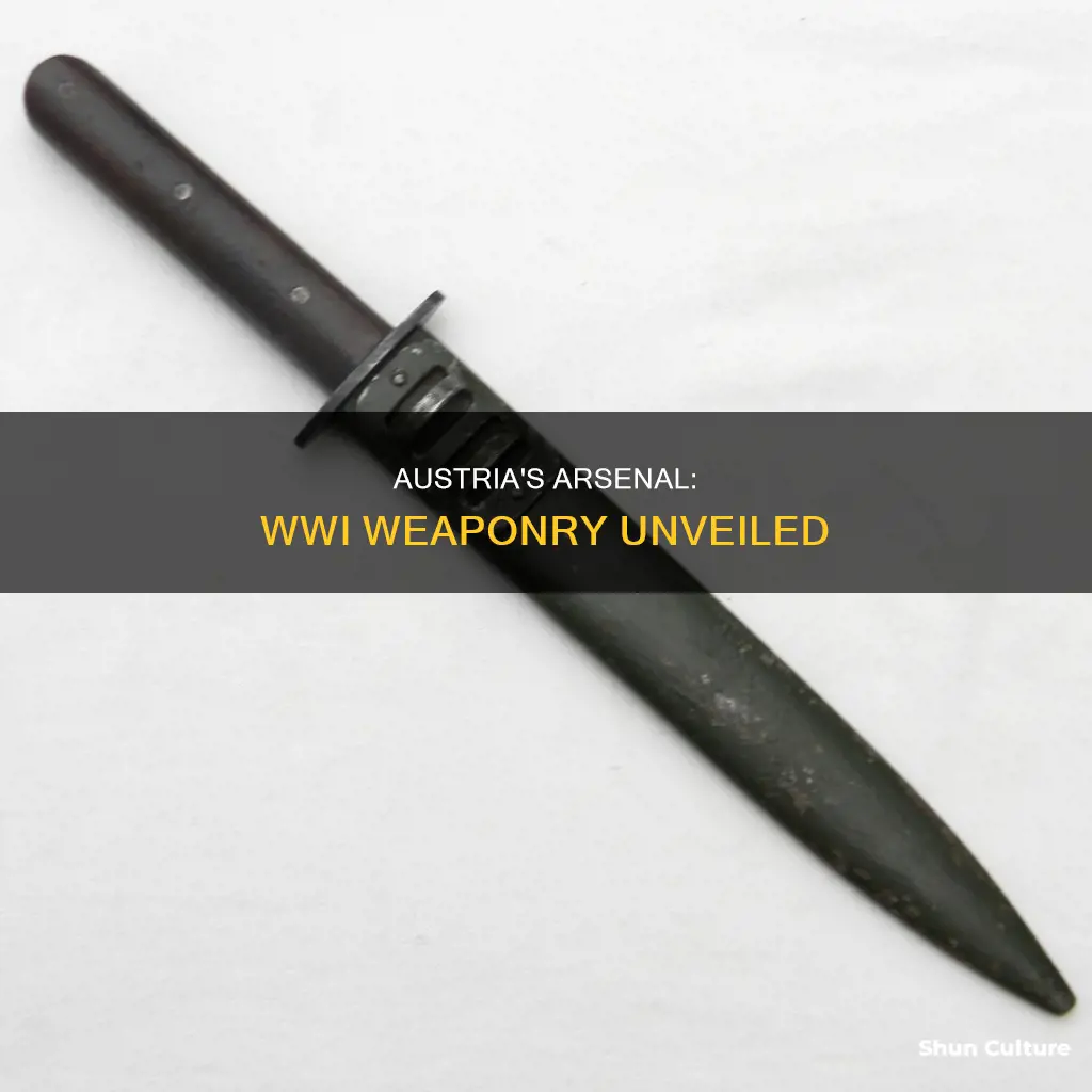 what types of weapons did austria use in ww1