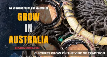 Unusual Aussie Produce: Fruits and Veggies Down Under