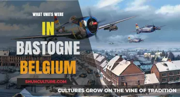 The Defenders of Bastogne: A Tale of WWII Units