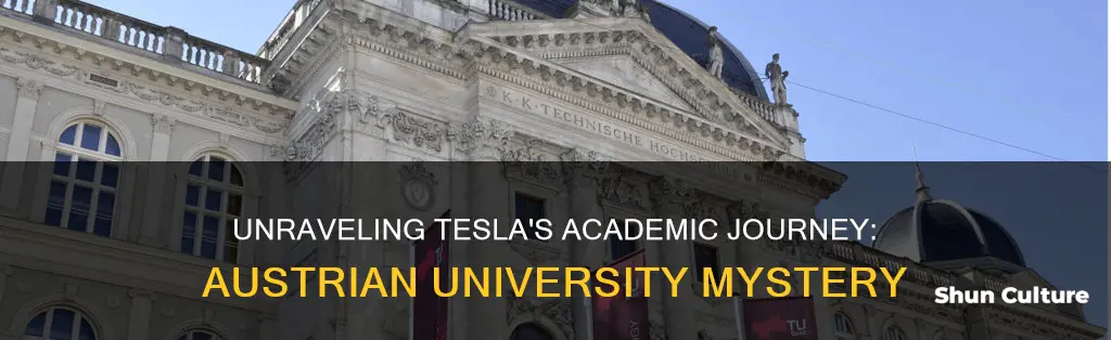 what university did tesla go to in austria