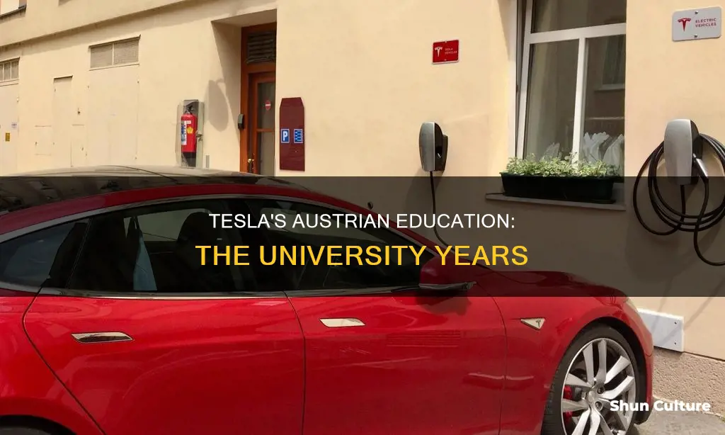 what university did tesla go to in austria