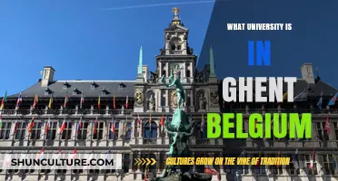 Exploring Ghent: A Guide to the City's Top University