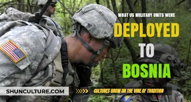 U.S. Military Units Deployed to Bosnia: A Comprehensive Overview