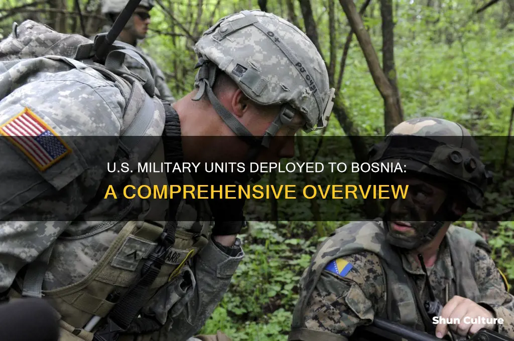 what us military units were deployed to bosnia