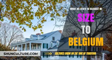 Exploring the US State That Matches Belgium's Size