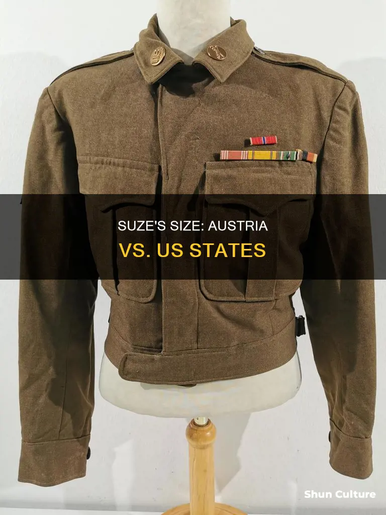 what us state suze is austria