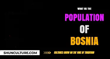 Bosnia's Population: Current Figures, Trends, and Demographic Insights