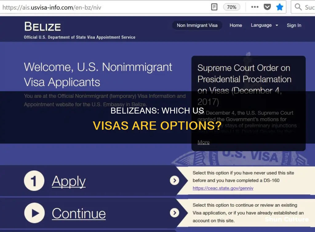 what us visas are available for belize