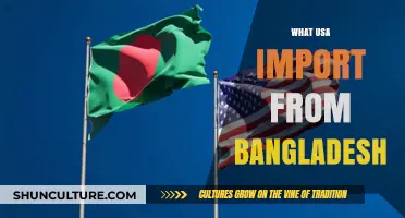 Exploring Key USA Imports from Bangladesh: Trends and Insights