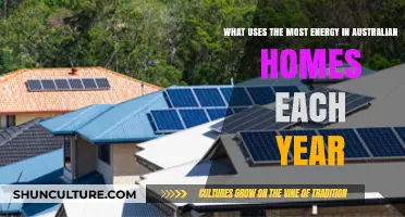 Australia's Top Home Energy Consumers: Uncovering Annual Usage Trends