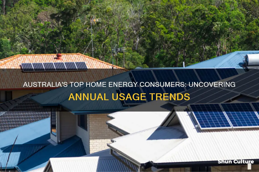 what uses the most energy in australian homes each year