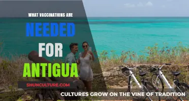 Essential Vaccinations for Antigua: Travel Health Guide and Requirements